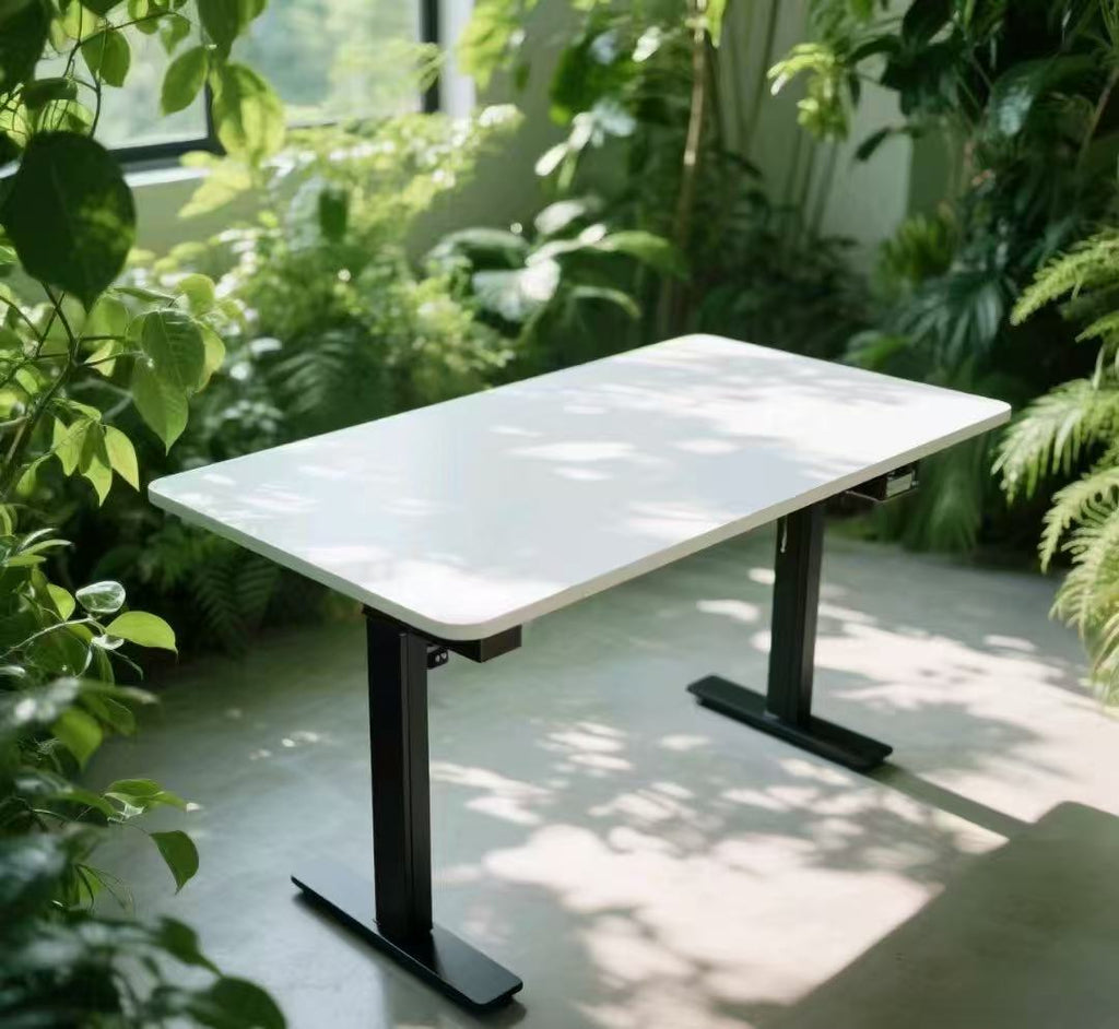 Minimalist Electric Standing Desk with Memory Controller